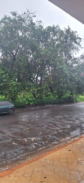 Foto 3 de 5 — Mesmo problema, outro local: moradores denunciam abandono de praça em Araraquara